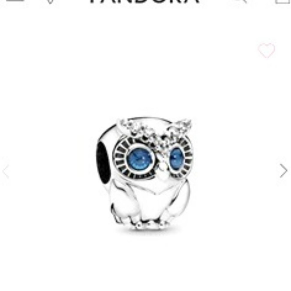 Pandora Charm